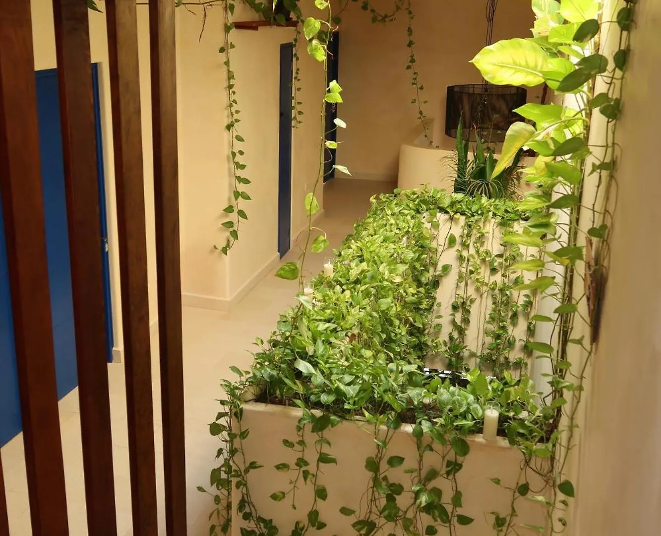 Apartmán Sunsteps Casa Holbox
